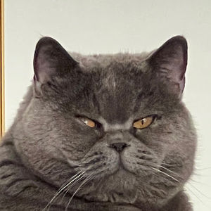 Meet your Posher, Yonghao